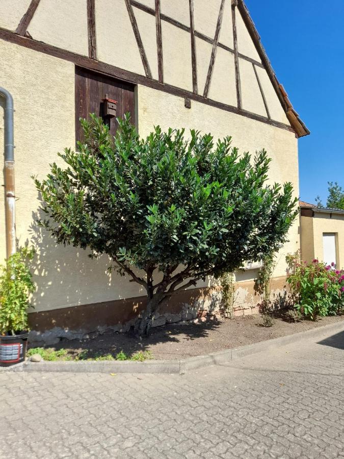 Ferienwohnung "Zum Alten Kuhstall" Oberhausen  Exterior foto