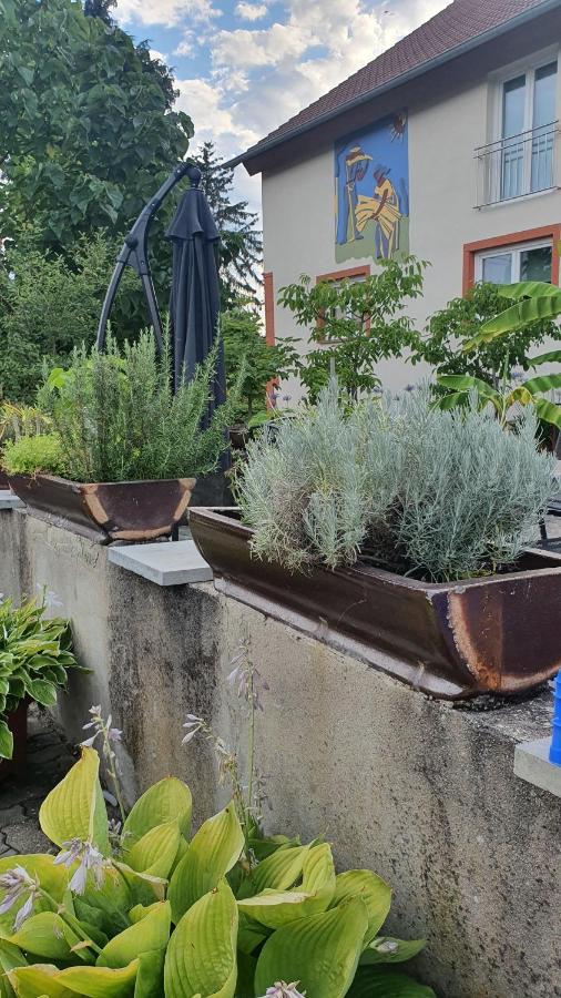 Ferienwohnung "Zum Alten Kuhstall" Oberhausen  Exterior foto